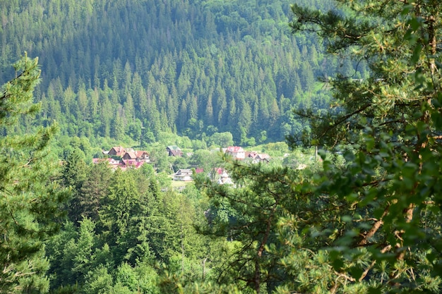 Very far below, under the mountain, there is a small village surrounded by a summer green forest. Photographed from the side through the foliage, with a blurred foreground