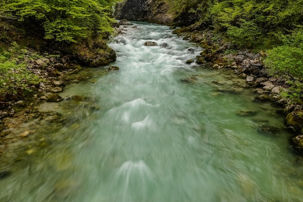 힌터스토더 어퍼 오스트리아의 녹색 계곡에서 매우 빠르게 흐르는 급류