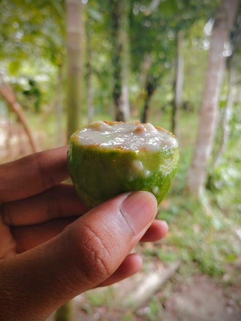 Photo very nice guava juice in hand