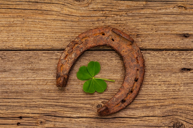 Very old cast iron metal horse horseshoe, fresh clover leaf. Good luck symbol, St.Patrick's Day concept