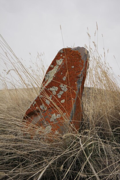 Photo very old tombstones