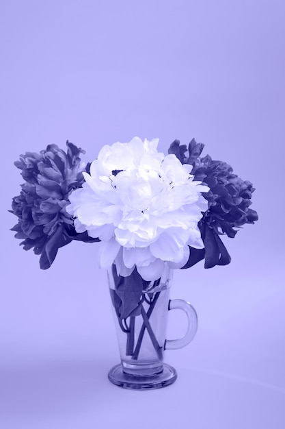 Photo on a very peri background a bouquet of white and pink peonies in a glass close up vertical format
