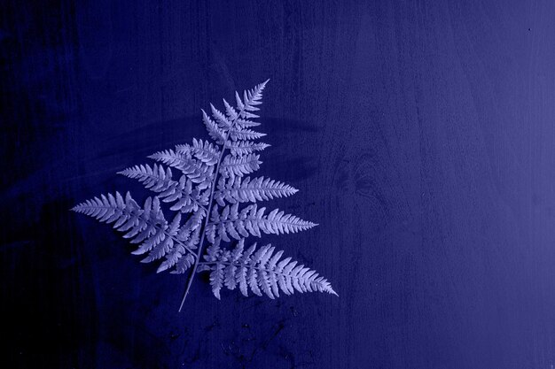 Very Peri.Drawing top view of the leaves of the plant in monochrome toning. abstract background concept.The color of the 2022 Macro. Selected sharpness. Plant texture. High quality photo