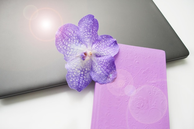 Very Peri-orchidee op notitieblok en laptop desktop ochtendzonstralen