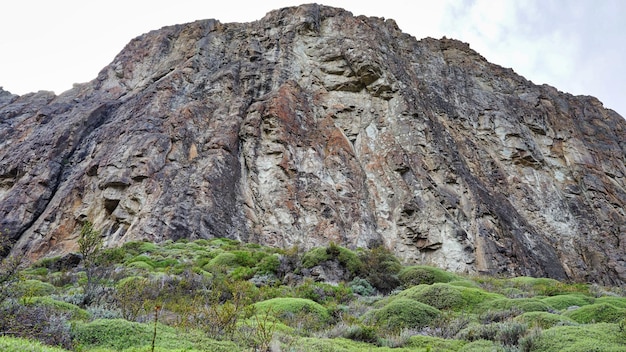 Very vertical rock wall seen from below with green plants on its slope on a cloudy day