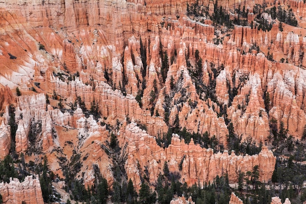 Verzameling Van Ongeluksboden In Bryce Canyon, USA