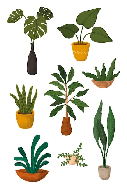 Verzameling van stickers voor binnenplanten