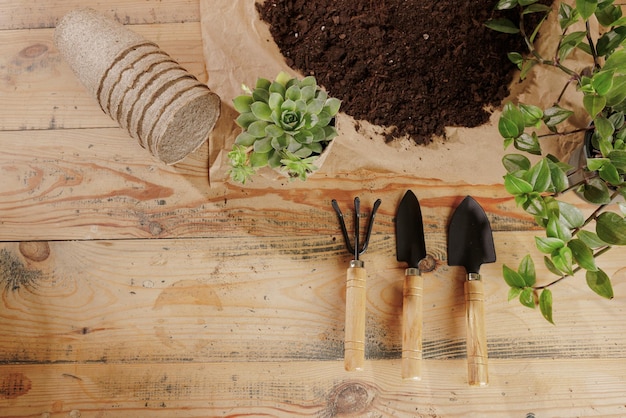 Verzorging en transplantatie van kamerplanten