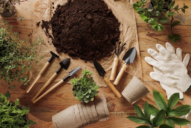 Verzorging en transplantatie van kamerplanten