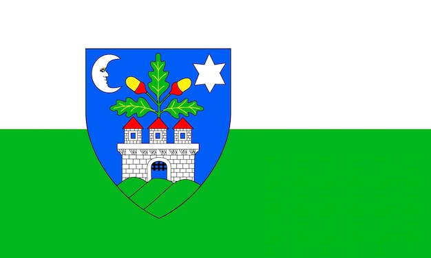 Veszprem region The Republic of Hungary national flag and prefectural symbol