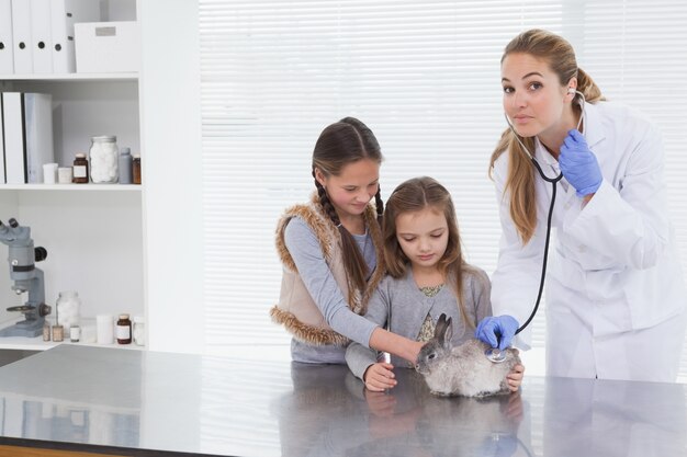 Vet examining a bunny rabbit