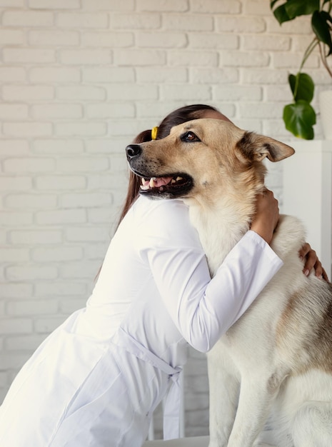 Vet examining dog. Puppy at veterinarian doctor. Animal clinic. Pet check up and vaccination. Health care.