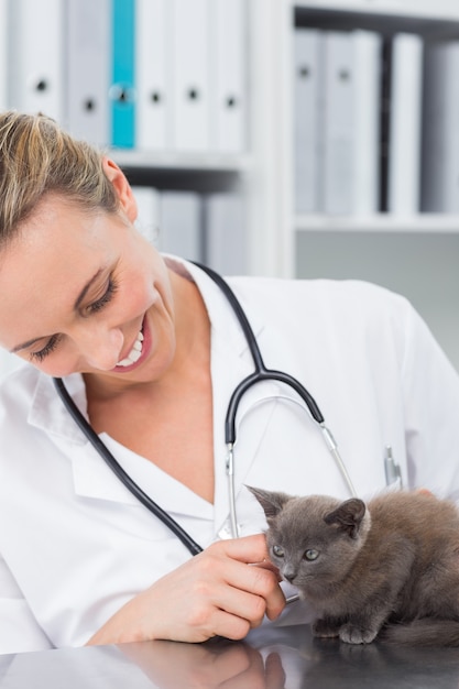 Vet examining kitten