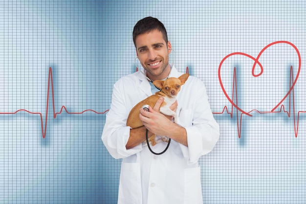 Foto veterinario che tiene chihuahua su sfondo medico con linea ecg rossa