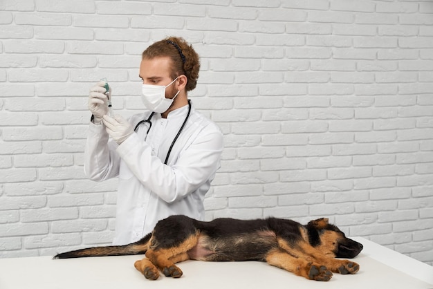 Vet holding syringe dog lying on side