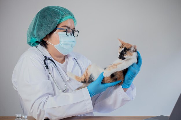 The vet is examining the cat and vaccinating it.