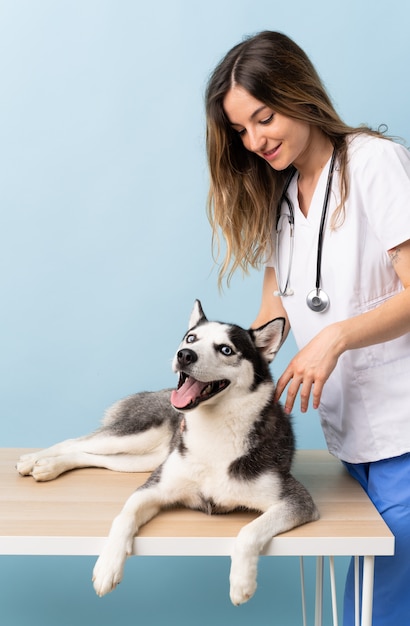 Veterinaire arts bij dierenartskliniek met Siberische Schor hond