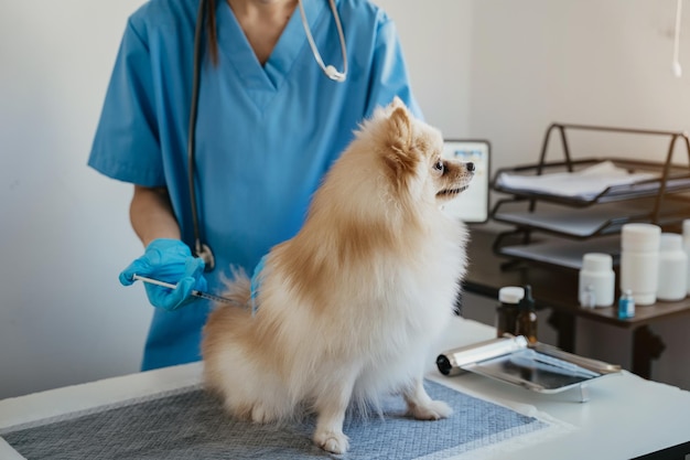 Veterinaire laboratoria Injectiehonden