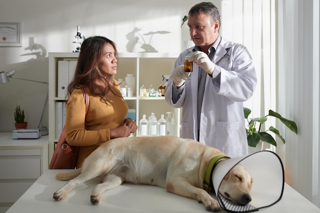Veterinarian Consulting Dogs Owner
