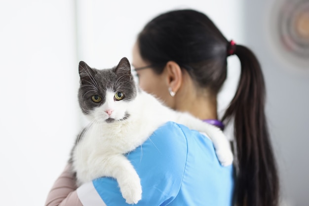 Il medico veterinario sta tenendo il gatto tra le braccia