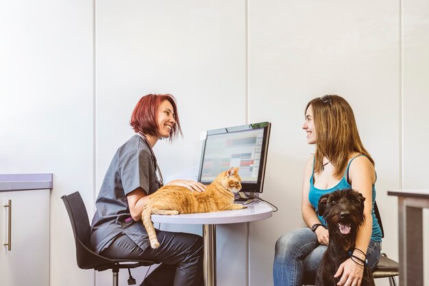 Melhores CRMs para Clínicas Veterinárias: Como Otimizar Seu Negócio Pet