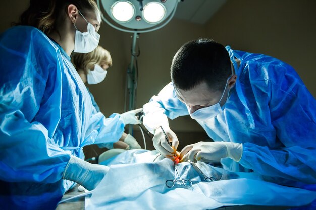 Foto medico veterinario in sala operatoria per riprese chirurgiche laparoscopiche con illuminazione artistica.