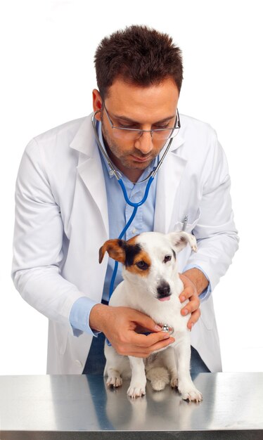 Veterinarian and dog