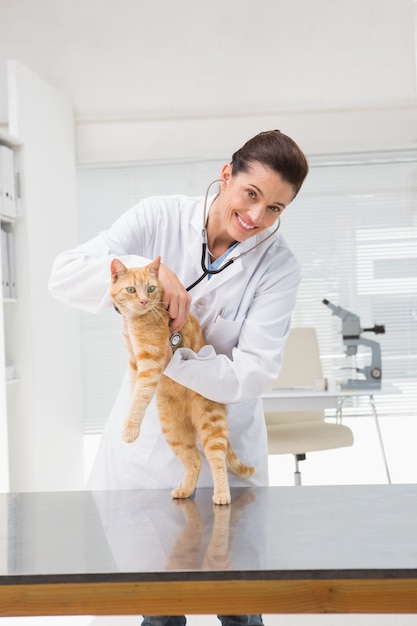 Veterinarian examining a cat 