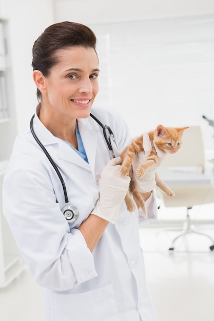 Veterinarian examining a cat 