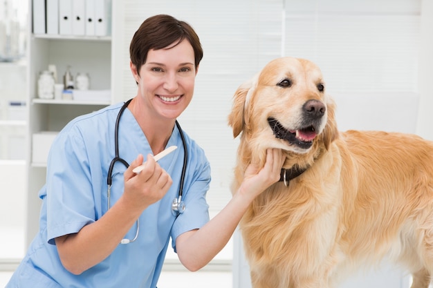 Veterinarian examining mouth of a cute dog