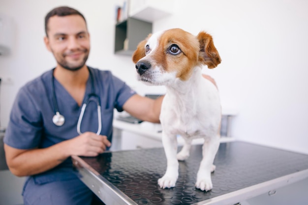 Photo veterinarian examining puppy in hospital