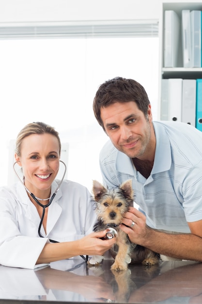 Veterinarian examining puppy with man