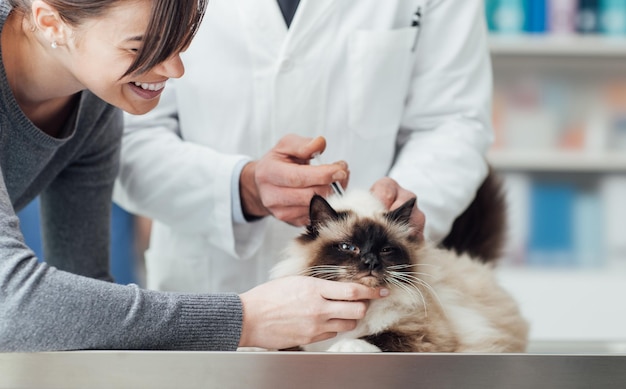 Foto veterinario che fa un'iniezione a un animale domestico