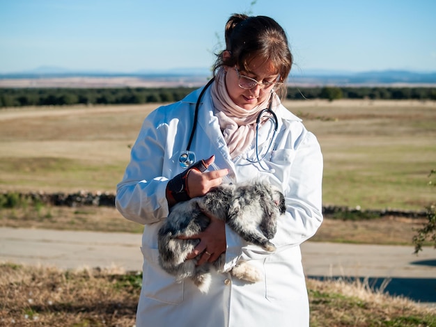Photo veterinarian injecting rabbit while standing outdoors