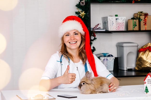 A veterinarian in a new year's hat holds a rabbit in his hand against the background of a christmas