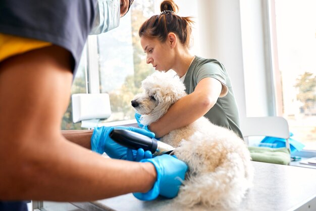 Veterinarian shaving a dog before treatment doctor at the animal clinic with an anesthetized dog