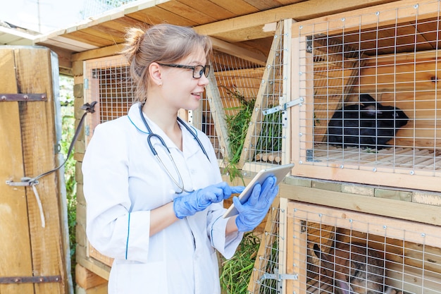 納屋の牧場で動物の健康状態をチェックするタブレットコンピューターを持つ獣医の女性