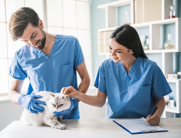 At the veterinarian