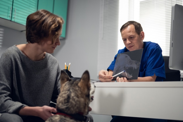 Photo veterinary care concept. a husky dog with its owner at a veterinarians appointment, having a consultation with a doctor.