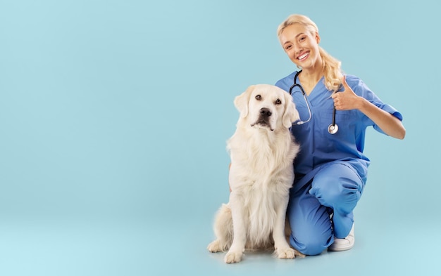 Veterinary clinic advertisement Positive female nurse in uniform posing with labrador and showing thumb up copy space