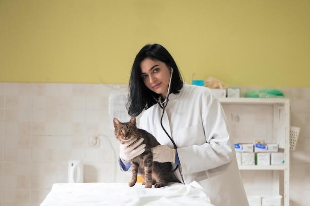 veterinary clinic female doctor portrait at the animal hospital holding cute sick cat