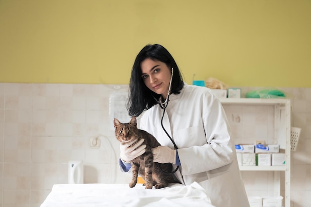 Photo veterinary clinic female doctor portrait at the animal hospital holding cute sick cat