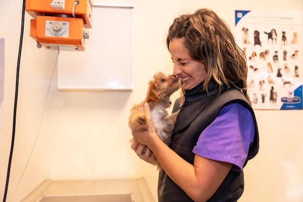 Photo veterinary clinic veterinarian preparing the material to make some xrays while a dog kisses him