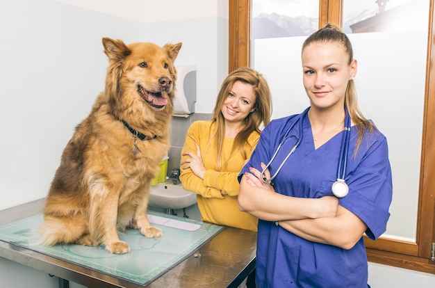 Photo veterinary doctor portrait