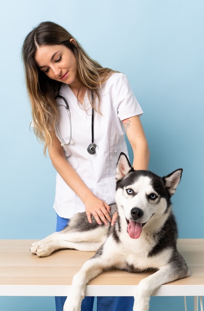 Veterinary doctor at vet clinic with Siberian Husky dog