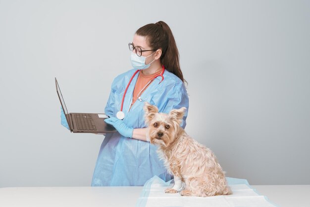 Foto veterinario che guarda i risultati degli esami sul computer accanto a un cane nell'ufficio medico