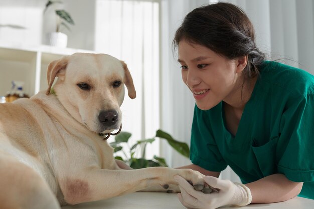 犬と遊ぶ獣医看護師