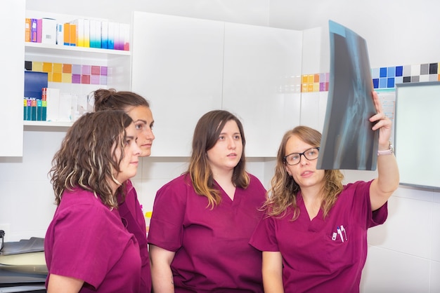 Veterinary team examining a dog's x-ray