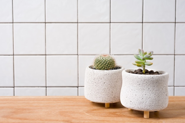 Vetplanten in Pot op houten tafel met rasterlijn muur achtergrond.