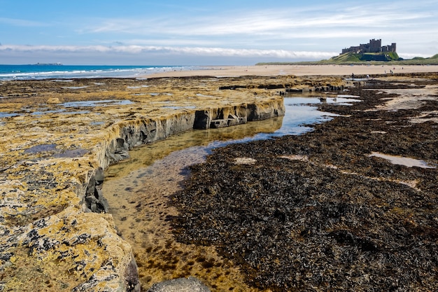 Veduta del castello di bamburgh